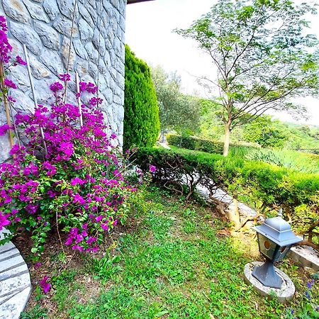 Apartment Mediterranean Garden Rijeka Exteriör bild