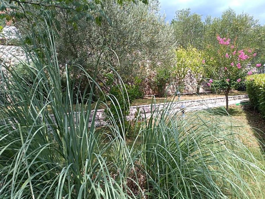 Apartment Mediterranean Garden Rijeka Exteriör bild