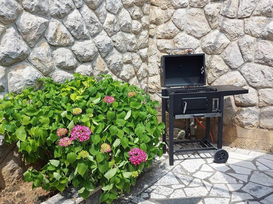 Apartment Mediterranean Garden Rijeka Exteriör bild