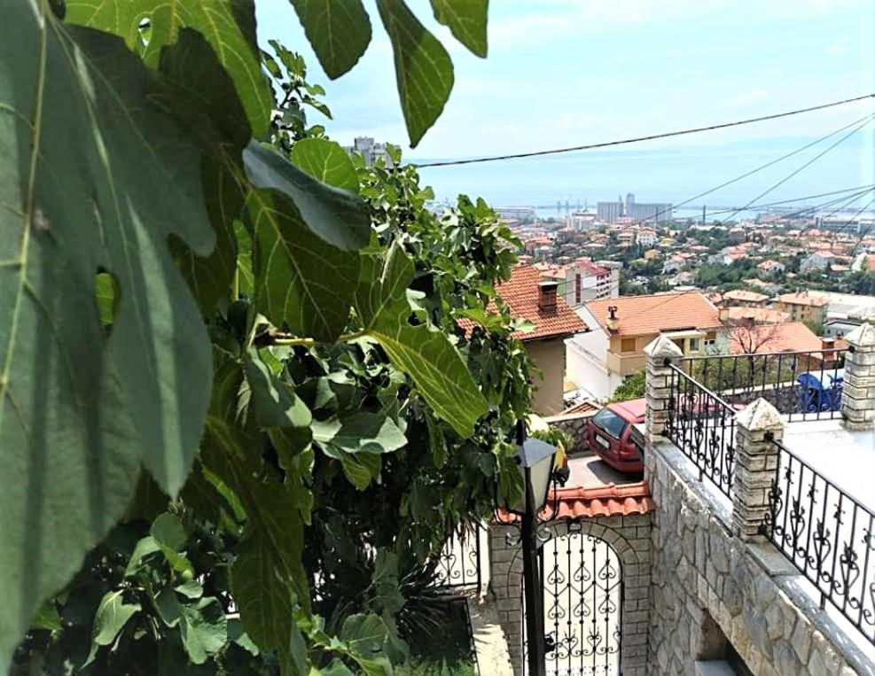 Apartment Mediterranean Garden Rijeka Exteriör bild